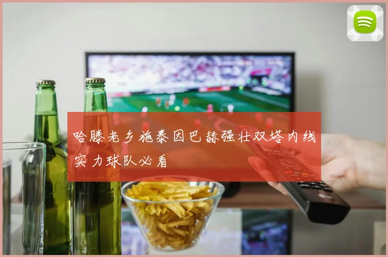 哈滕老乡施泰因巴赫强壮双塔内线实力球队必看